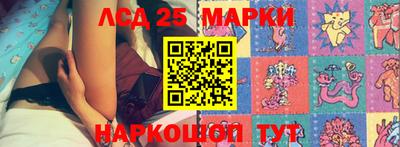 тгк Шебекино