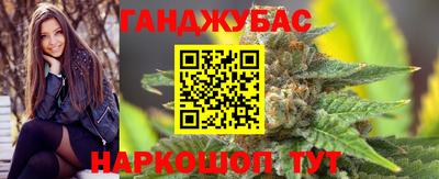 тгк Шебекино