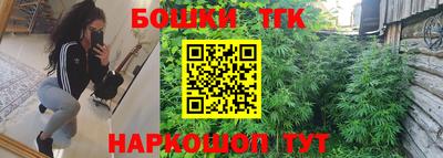 тгк Шебекино