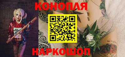 дурь Шелехов