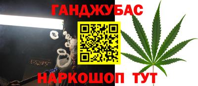 дурь Шелехов